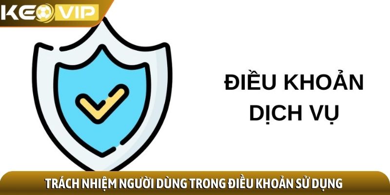 Trách nhiệm người dùng trong điều khoản sử dụng
