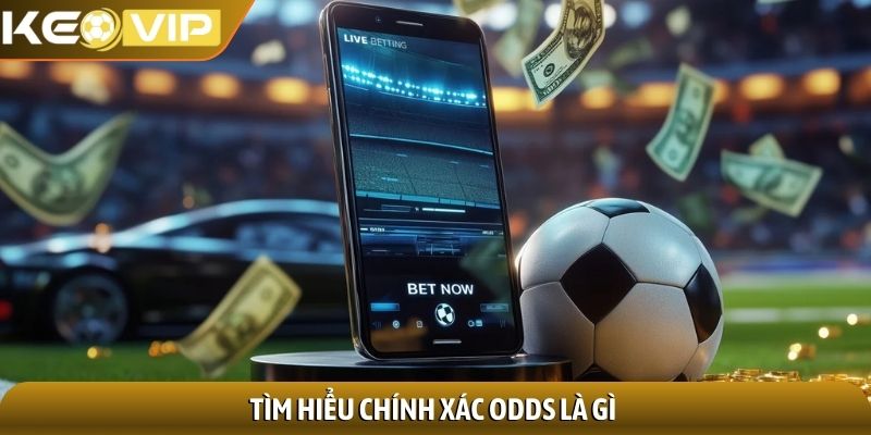 Odds là gì? Khám phá bí ẩn đằng sau những con số quyết định 1 Tìm hiểu chính xác Odds là gì